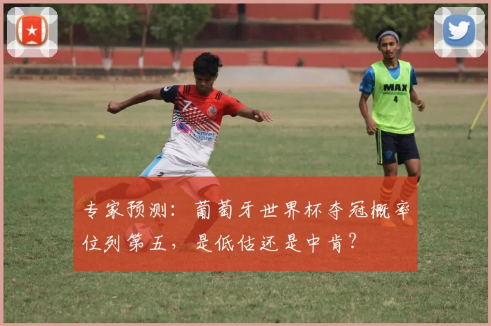 专家预测：葡萄牙世界杯夺冠概率位列第五，是低估还是中肯？