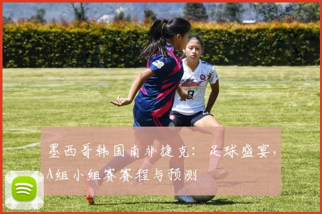 墨西哥韩国南非捷克：足球盛宴，A组小组赛赛程与预测